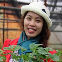 Trần Kiều